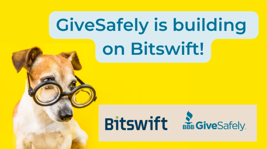 A dog looks at the announcement that GiveSafely is building on Bitswift
